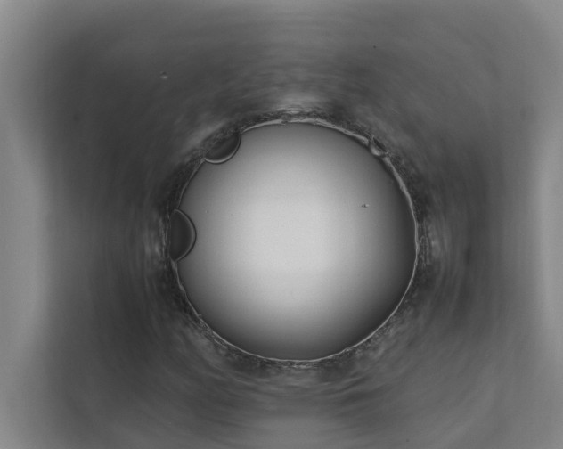 X0000112071158200908041228