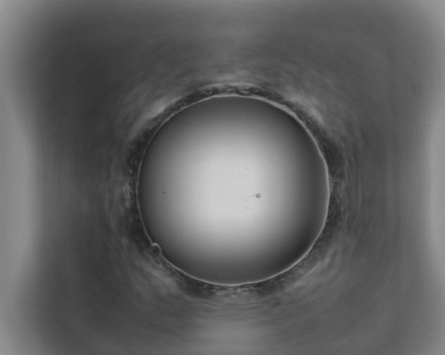 X0000112071159200908041228
