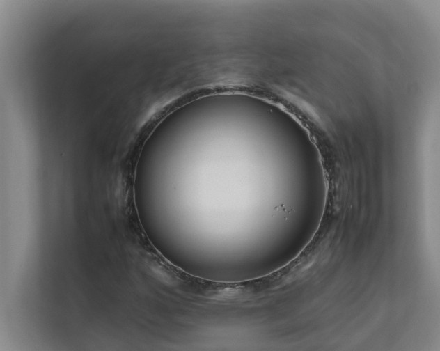 X0000112071160200908041228