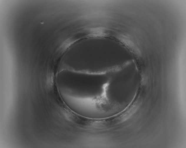 X0000112071161200908041228