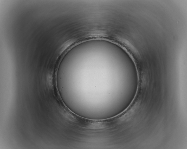 X0000112071162200908041228