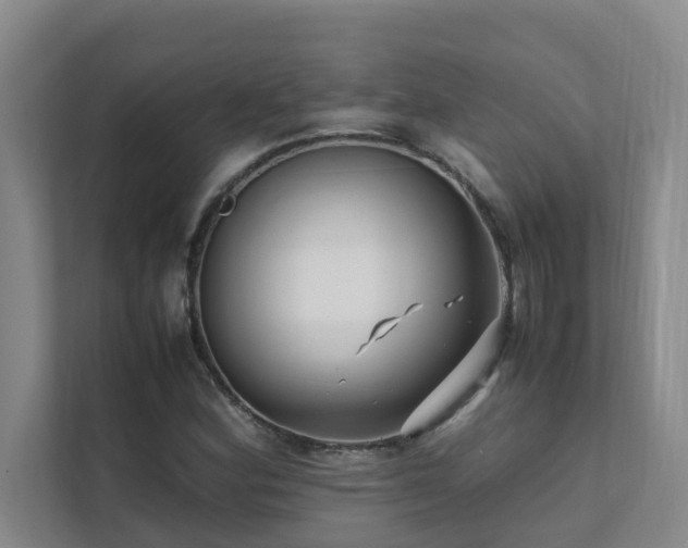 X0000112071164200908041228