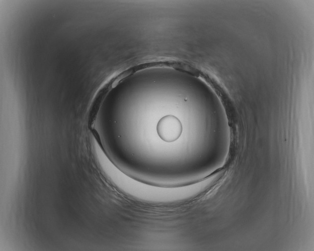 X0000112071165200908041228