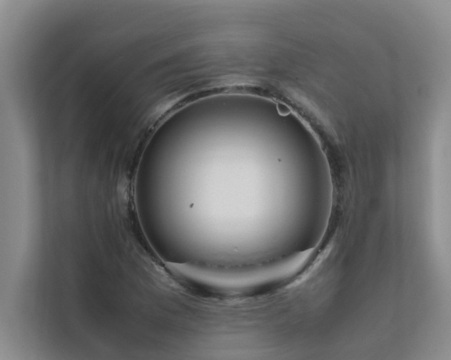 X0000112071169200908041228