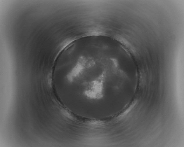 X0000112071170200908041228