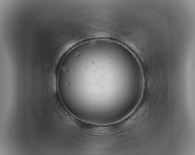 X0000112071171200908041228
