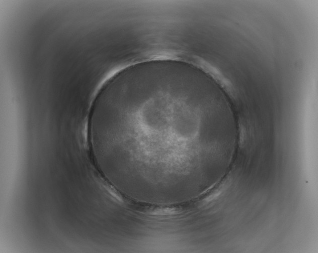 X0000112071174200908041228
