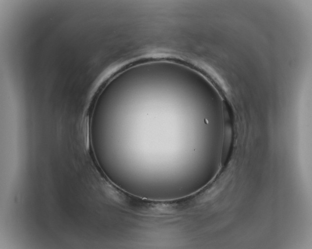 X0000112071175200908041228