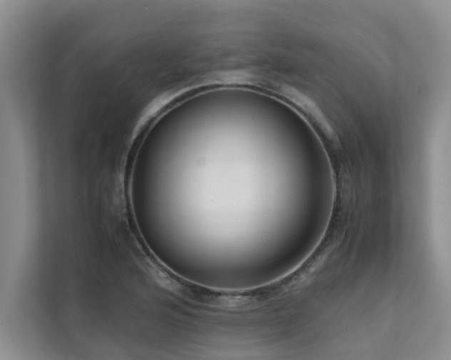 X0000112071176200908041228