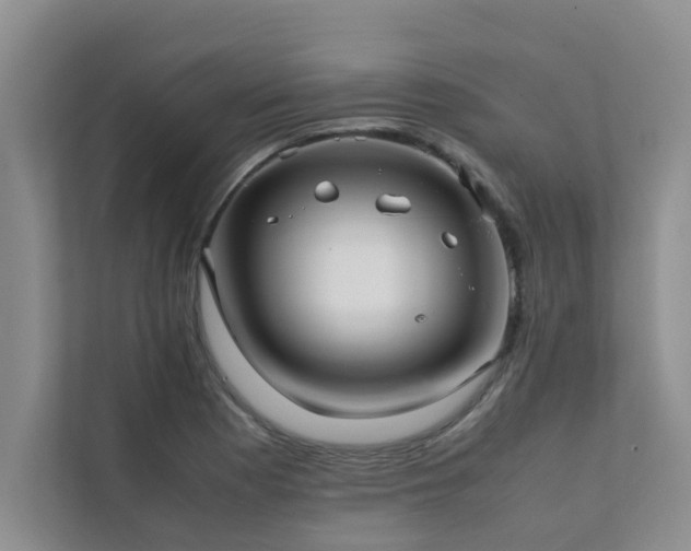 X0000112071177200908041228