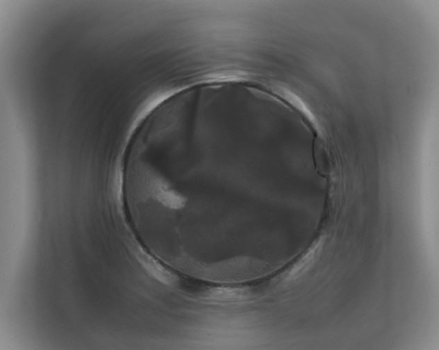 X0000112071179200908041228