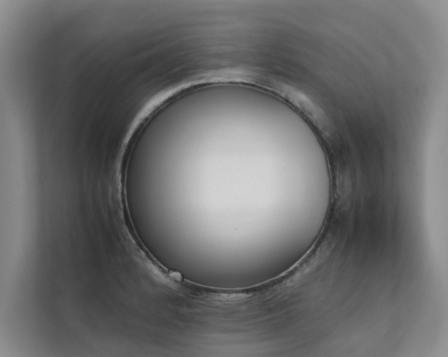 X0000112071184200908041228