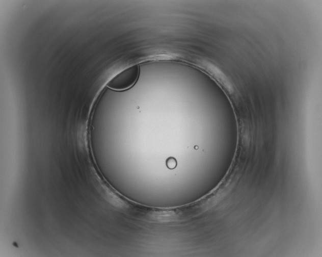 X0000112071186200908041228