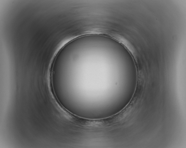 X0000112071187200908041228
