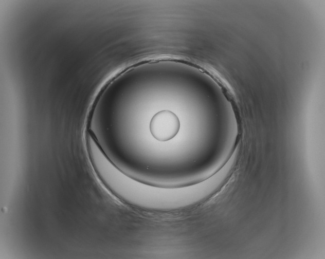X0000112071189200908041228