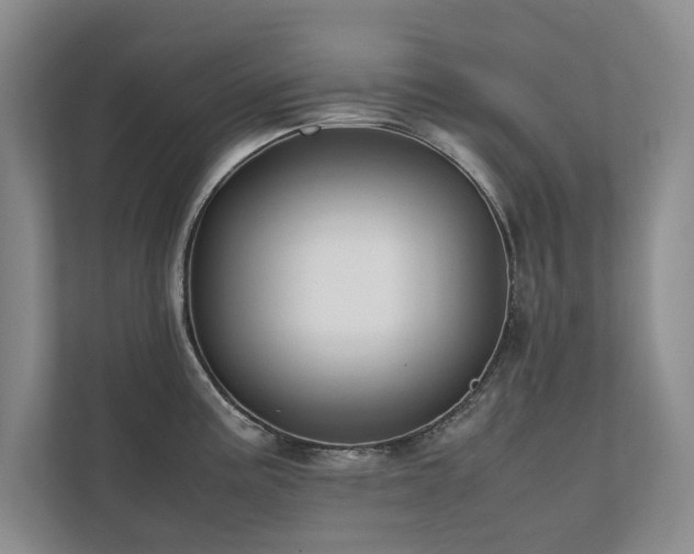 X0000112071195200908041228