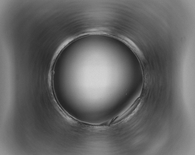 X0000112071196200908041228