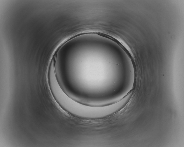 X0000112071197200908041228