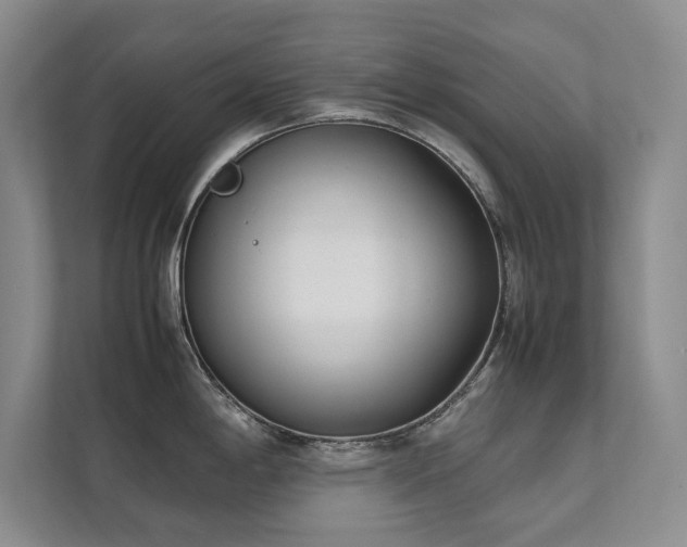 X0000112071198200908041228