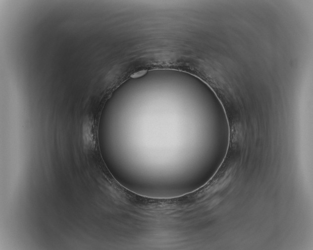 X0000112071202200908041227