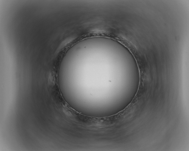 X0000112071207200908041227