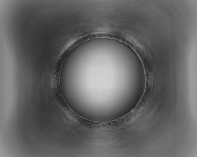 X0000112071208200908041227