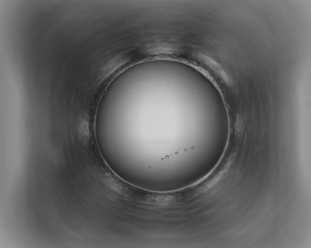 X0000112071209200908041227