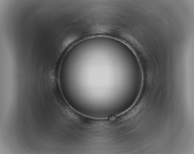 X0000112071210200908041227