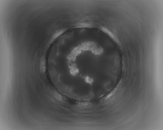 X0000112071213200908041227