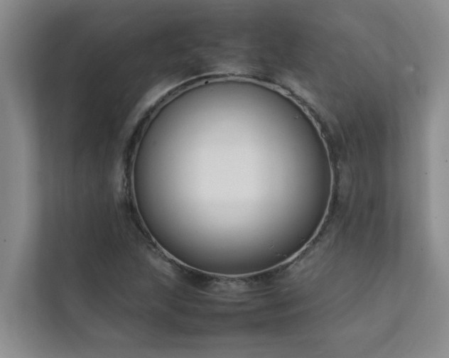 X0000112071215200908041227