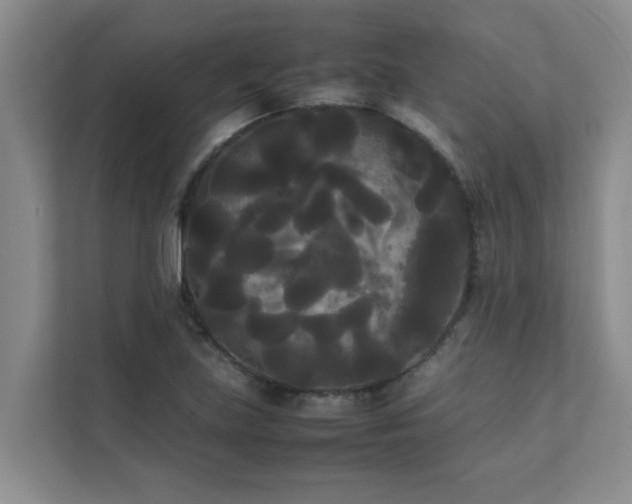 X0000112071219200908041227