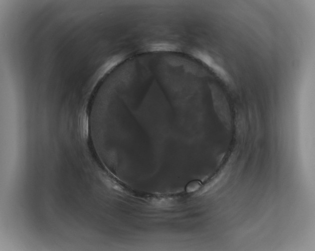 X0000112071221200908041227