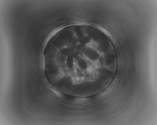 X0000112071223200908041227