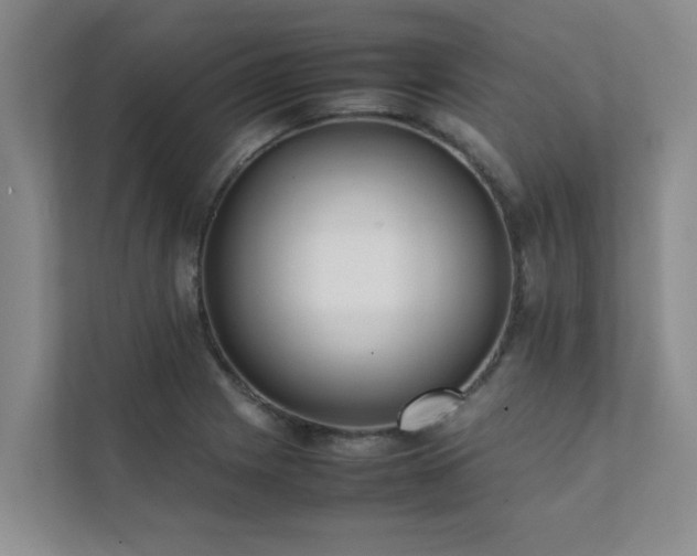 X0000112071225200908041227