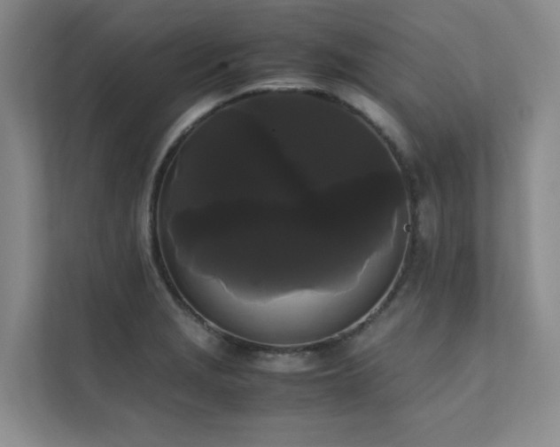 X0000112071229200908041227
