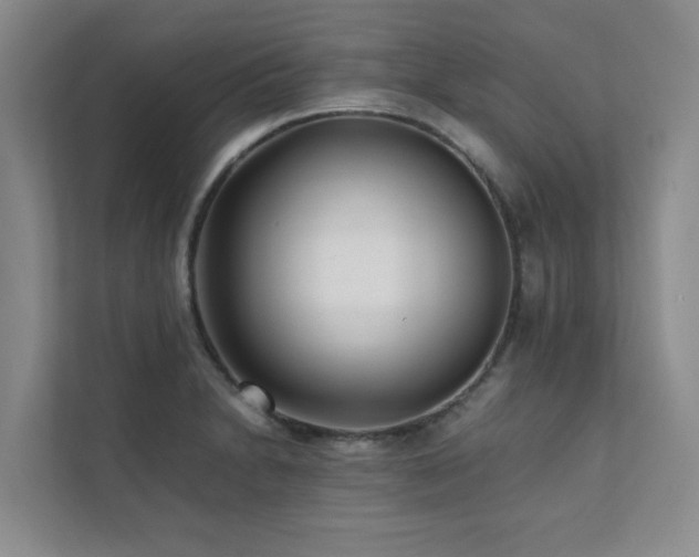 X0000112071230200908041227