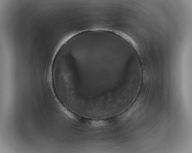 X0000112071231200908041227
