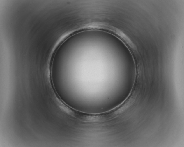 X0000112071232200908041227