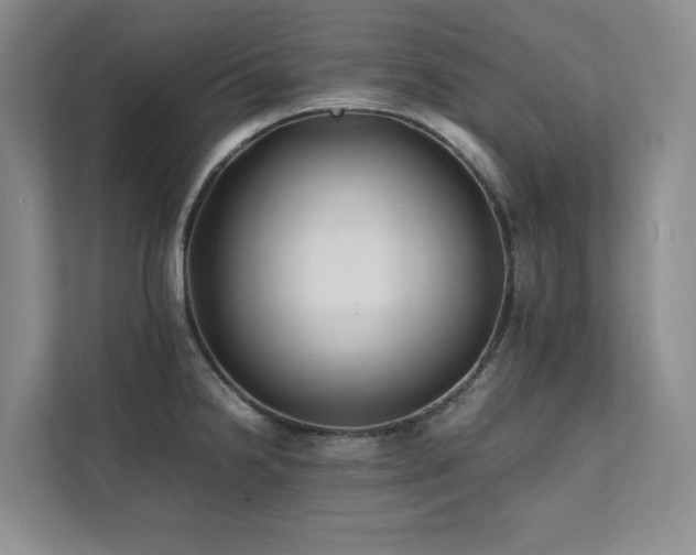 X0000112071238200908041227
