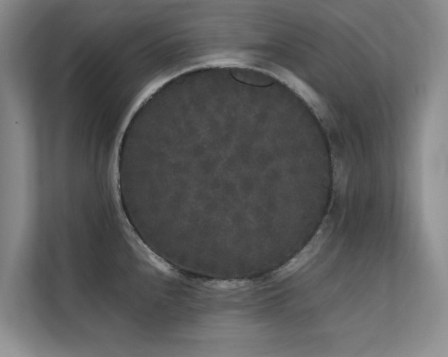 X0000112071240200908041227