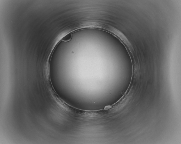 X0000112071242200908041227