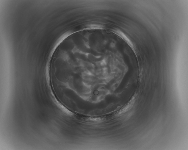 X0000112071243200908041227