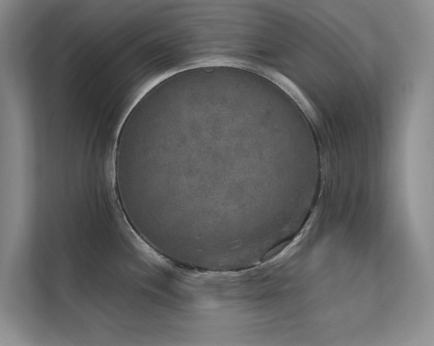 X0000112071244200908041227