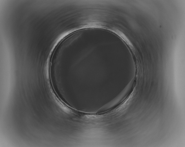 X0000112071246200908041227