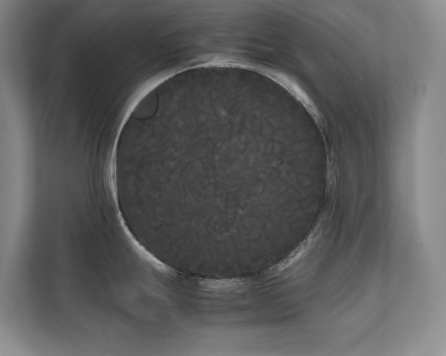 X0000112071247200908041228