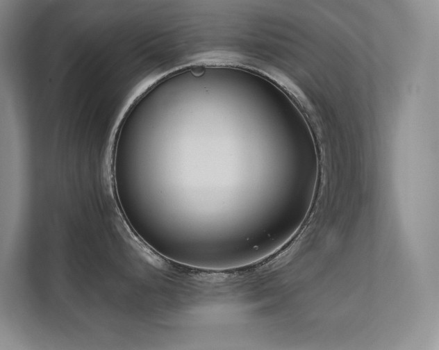 X0000112071248200908041228