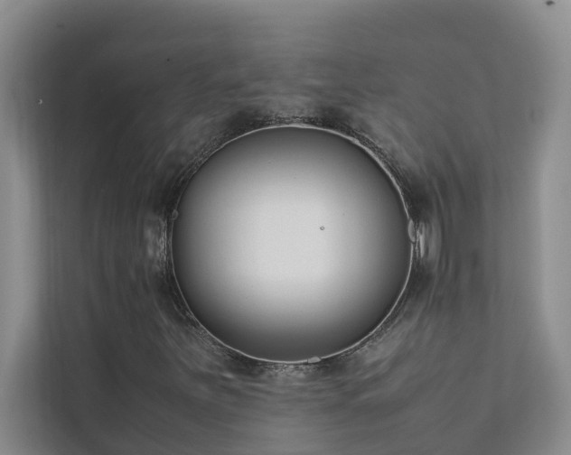 X0000112071251200908041227