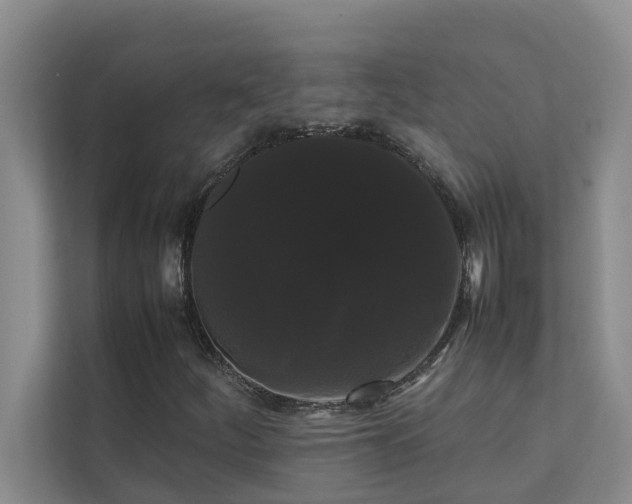 X0000112071252200908041227
