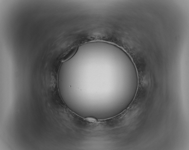 X0000112071253200908041227