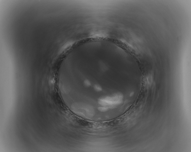 X0000112071254200908041227